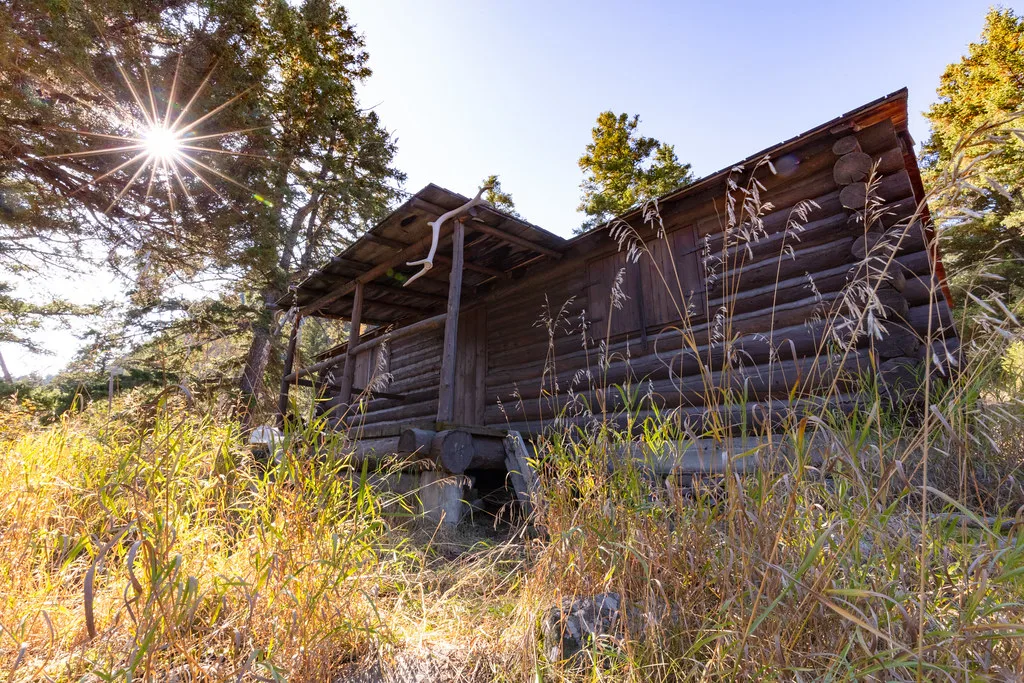 Weathered log cabin wall and roofline in tall dry grass