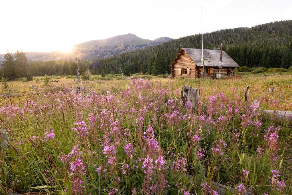 Log cabin beyond a meadow of pink fireweed below forested mountains