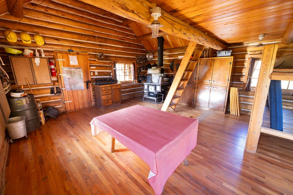 Log cabin room with a bed, a pink-covered table and wood stove